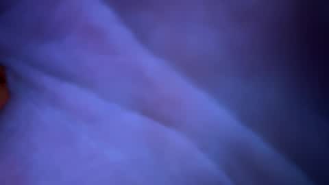 Snapshot of scottyn69 chatting on 01.22.25 scottyn69 online show from 01.22.25