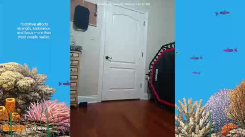 Snapshot of scrubbyluv chatting on 02.26.26 ScrubbyLuv online show from 02.26.26