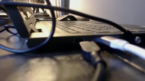 Snapshot of sdodgerxx chatting on 02.06.25 sdodgerxx online show from 02.06.25