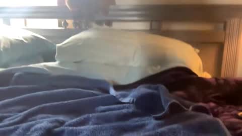 Skylar87 online show from 12.15.24