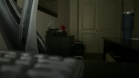 Snapshot of seanjohnsen chatting on 12.31.24 seanjohnsen online show from 12.31.24