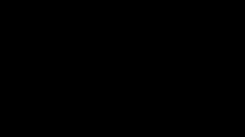 Sunny online show from 11.16.25