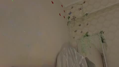Snapshot of seductive_flower chatting on 04.20.26 Mali online show from 04.20.26