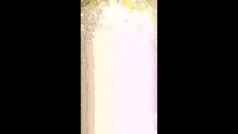 seethru9 online show from 03.02.26