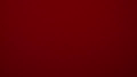 Snapshot of seeus24 chatting on 02.15.25 seeus24 online show from 02.15.25