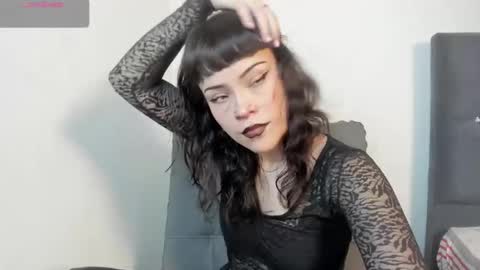 seijacu  online show from 12.03.25