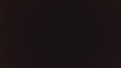 Selena  Andress online show from 12.13.24