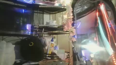 sequoia8888 online show from 10.29.25