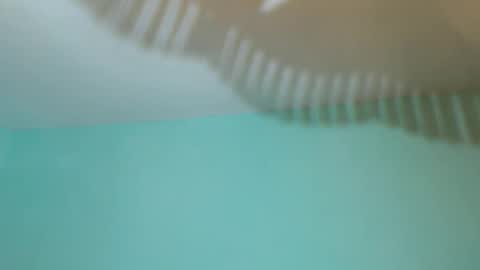 SevenDragons online show from 10.19.25