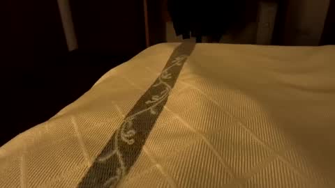 sevenorder online show from 01.24.25