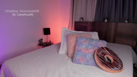 Snapshot of sexicanela99 chatting on 12.11.24 ... Camila ... online show from 12.11.24