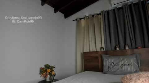 Snapshot of sexicanela99 chatting on 01.28.25 ... Camila ... online show from 01.28.25