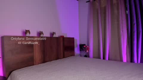 Snapshot of sexicanela99 chatting on 02.14.25 ... Camila ... online show from 02.14.25
