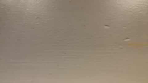 sexislitpuss69 online show from 01.01.25