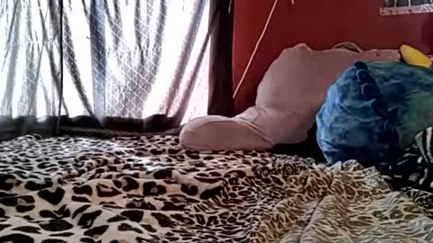 sexiwhiskey699 online show from 02.21.26