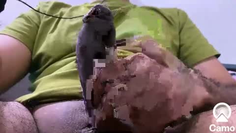 sexmachine4ubabes online show from 12.09.24