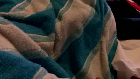 Sexplorer54321 online show from 02.03.25