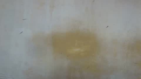 Snapshot of sexy_candy9 chatting on 11.11.25 sexy_candy9 online show from 11.11.25