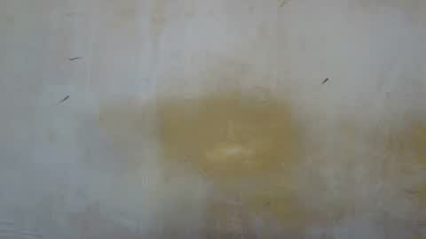 Snapshot of sexy_candy9 chatting on 11.12.25 sexy_candy9 online show from 11.12.25