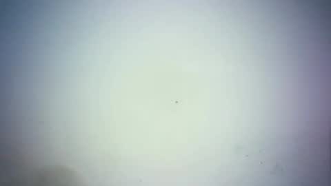 sweetjoy9 online show from 03.25.26