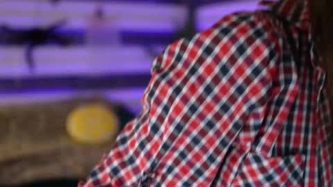 Celline online show from 11.16.25