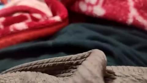 Snapshot of sexyd9913 chatting on 12.01.24 Sexyd online show from 12.01.24