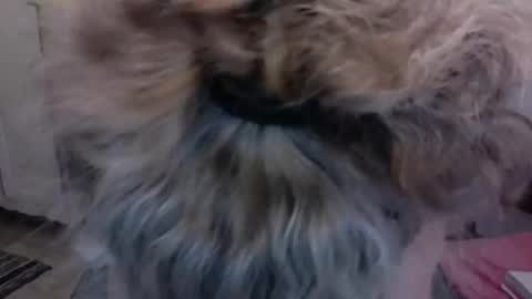 SexyFit58 online show from 12.15.24