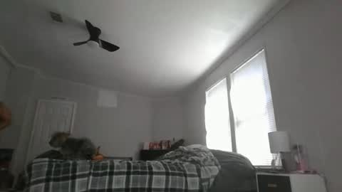 Snapshot of sexyfl440703 chatting on 10.31.25 sexyfl440703 online show from 10.31.25