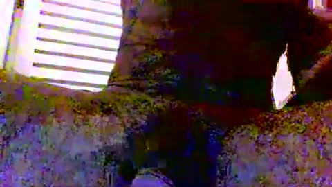 sexynudistdaddycockm online show from 11.24.25