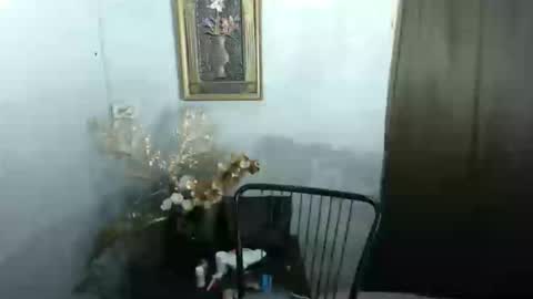 carl online show from 03.24.26