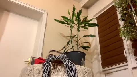 Anya online show from 01.22.25