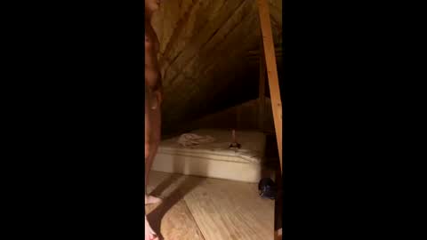 Smooth bi guy online show from 03.07.26