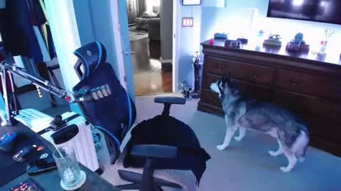 shaftyone4u online show from 01.16.25