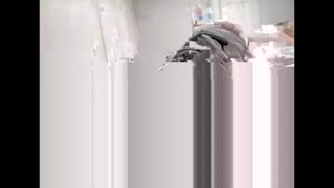 Snapshot of shagnasty95 chatting on 04.09.26 shagnasty95 online show from 04.09.26