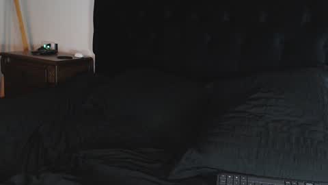 Shane online show from 12.06.24