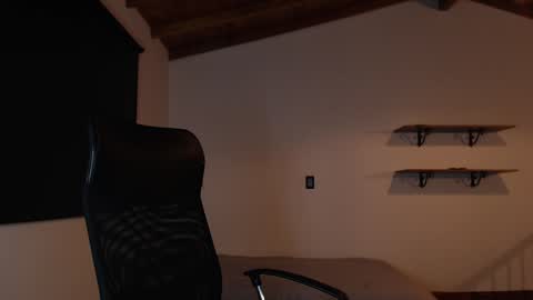 Shane online show from 12.11.24