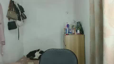 Snapshot of shanegreents chatting on 12.23.25 bini aiah online show from 12.23.25