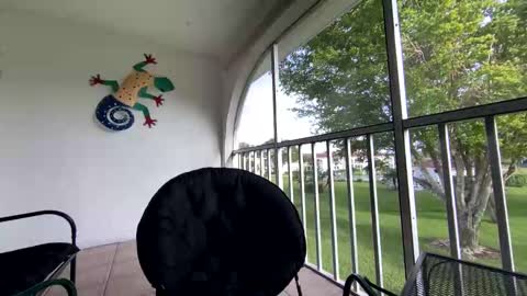 Shannon Spears online show from 01.05.25