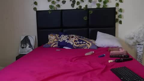 Snapshot of shanty_hugs chatting on 12.17.24 shanty_hugs online show from 12.17.24