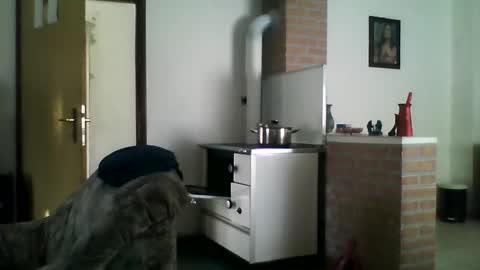 excelo21 online show from 12.22.24