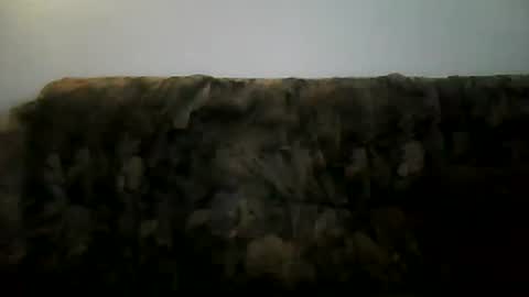 excelo21 online show from 02.02.25