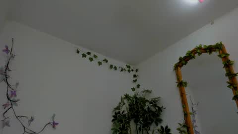 Shego  online show from 07.06.26