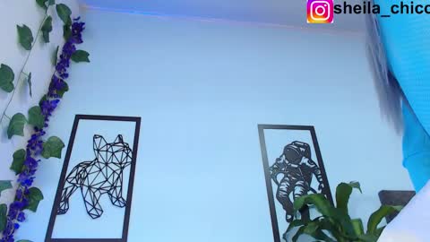 Snapshot of sheila_bigcok chatting on 02.25.25 SHEILA online show from 02.25.25