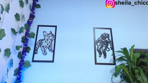 Snapshot of sheila_bigcok chatting on 02.26.25 SHEILA online show from 02.26.25