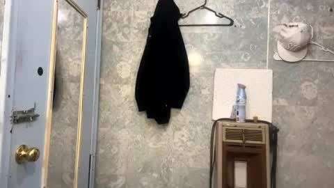 Shelby holes online show from 12.05.24