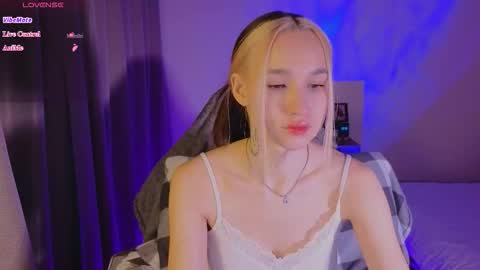 Sheyli online show from 01.08.26