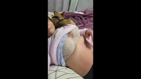 shmooinaround online show from 12.15.25