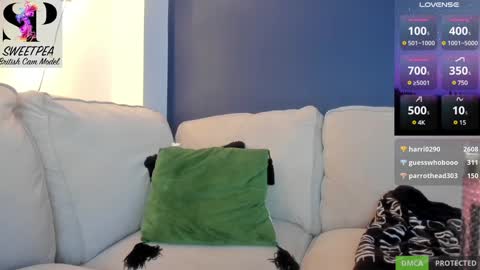 short sweetpea online show from 12.09.24