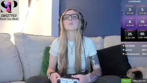 short sweetpea online show from 12.11.24