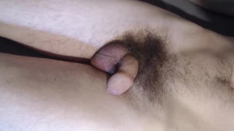 shototto online show from 11.02.25